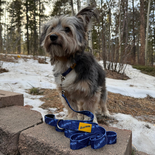 6 ft. Nylon Dog Leash