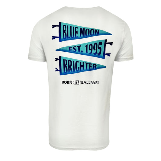 Baseball Pennant Tee